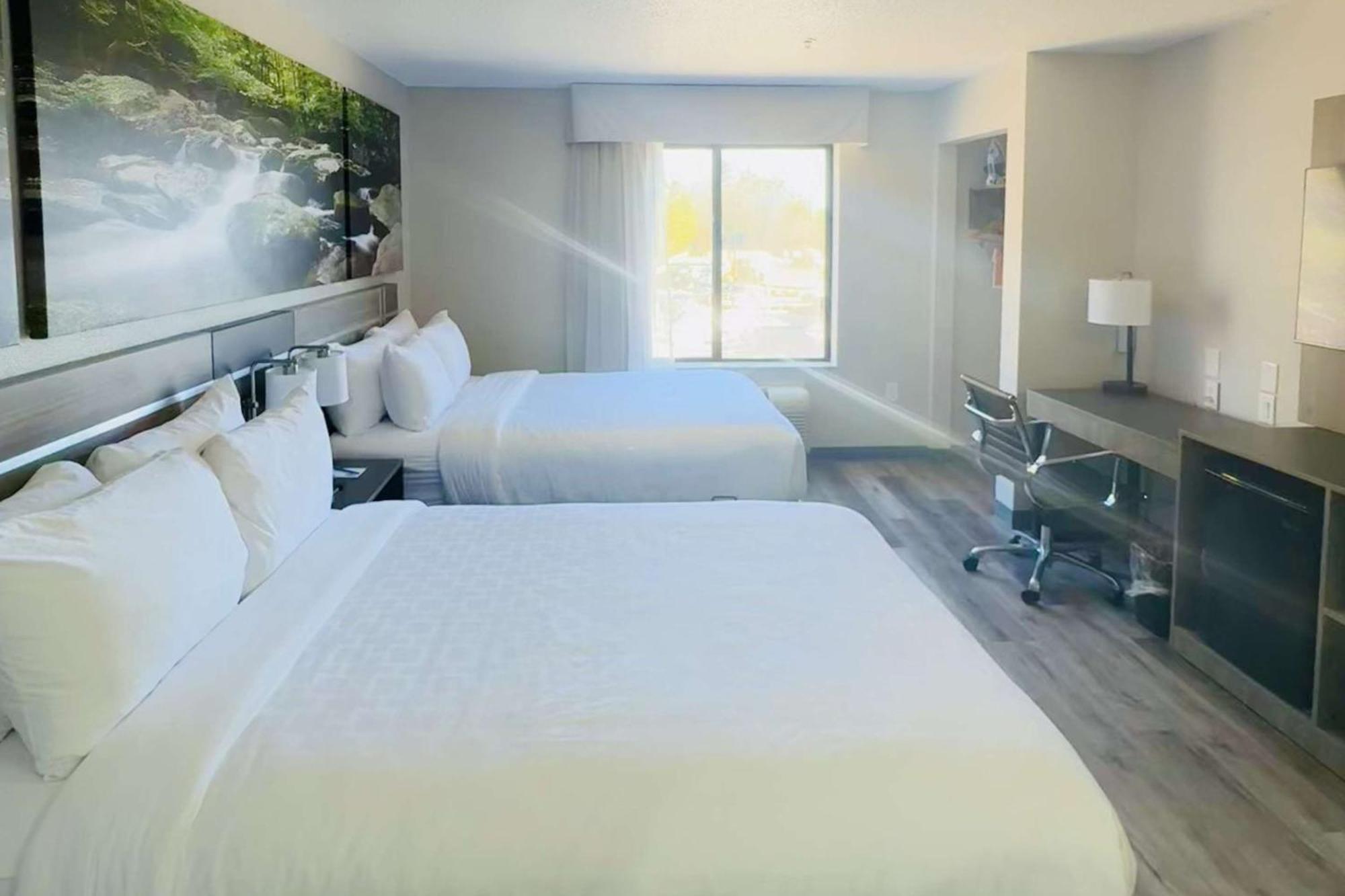 Clarion Pointe Albemarle Ξενοδοχείο Εξωτερικό φωτογραφία